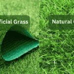 Benefits of Natural Grass VS Artificial Grass