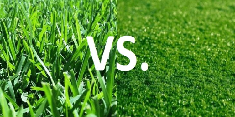 Conclusion of Natural Grass Vs Artificial Grass