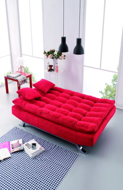 Elegant Sofa Bed