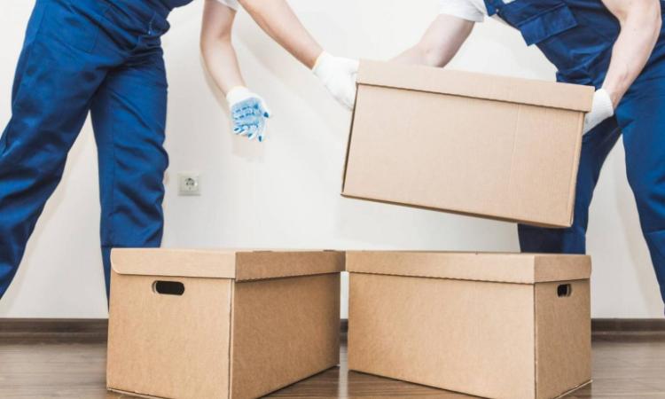 Ensure That Packers and Movers Offer Insurance
