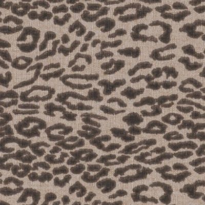 Cheetah Print 002